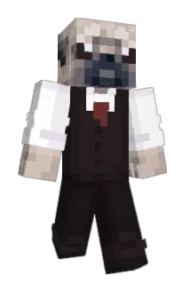 puggo Minecraft avatar full body