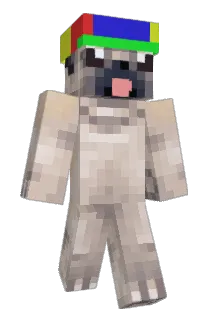pugonison Minecraft avatar full body