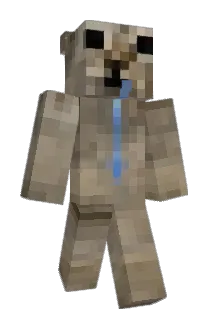 puhtatoe Minecraft avatar full body