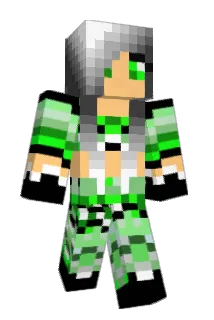punchon Minecraft avatar full body