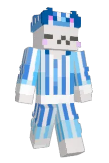 puneiop Minecraft avatar full body