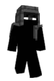 puoh Minecraft avatar full body