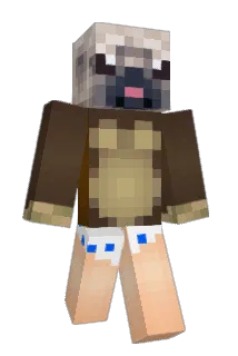 puppymonkeybb Minecraft avatar full body