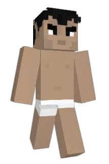purely50 Minecraft avatar full body