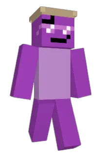 purpofberries Minecraft avatar full body