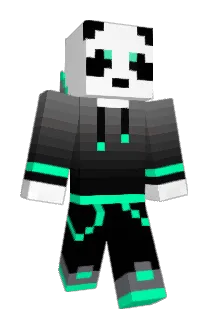 pvan340 Minecraft avatar full body