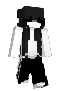 pwnki Minecraft avatar full body
