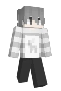 py55 Minecraft avatar full body