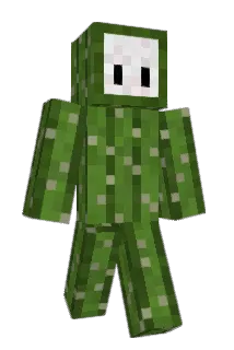 pyalion Minecraft avatar full body