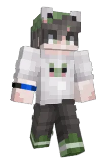 pylt3 Minecraft avatar full body
