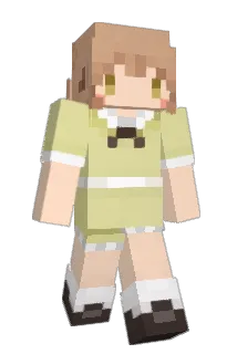 pyocoppy Minecraft avatar full body