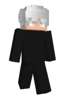 python297 Minecraft avatar full body