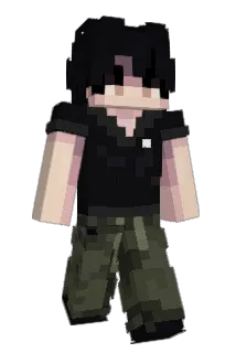 pz29 Minecraft avatar full body
