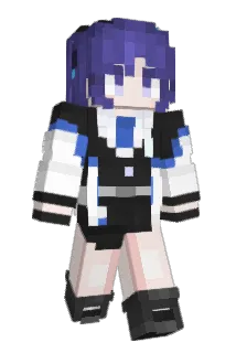 q1256 Minecraft avatar full body