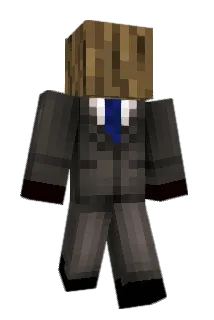 q888p Minecraft avatar full body