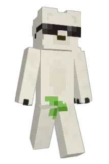 qAlsz Minecraft avatar full body