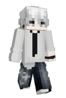 qFall Minecraft avatar full body