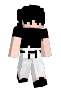 qIkare Minecraft avatar full body