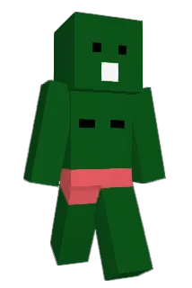 q_2860 Minecraft avatar full body
