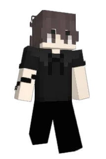 q_nn Minecraft avatar full body