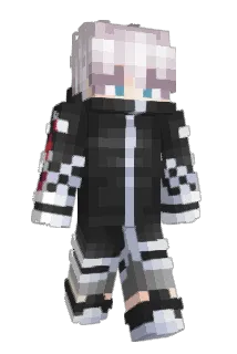 qapv Minecraft avatar full body