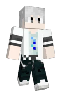 qaqwqt Minecraft avatar full body
