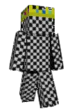 qdro Minecraft avatar full body