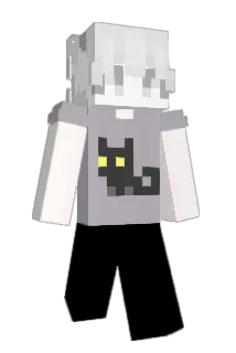 qfdy Minecraft avatar full body