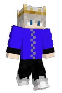 qg5r Minecraft avatar full body