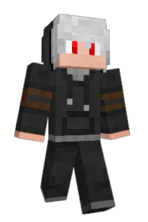 qi_17 Minecraft avatar full body