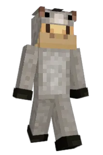 qiise Minecraft avatar full body