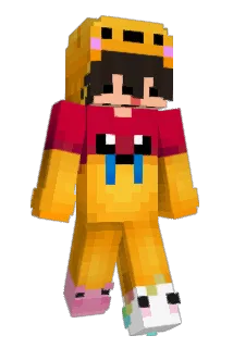 qind_JR Minecraft avatar full body