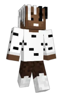 ql0_ Minecraft avatar full body