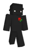 qlbac Minecraft avatar full body