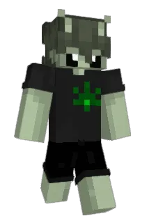 qnch0r Minecraft avatar full body