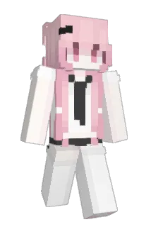 qqpp2233 Minecraft avatar full body