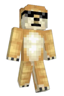 qtdodge Minecraft avatar full body