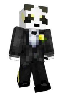 quak_duck Minecraft avatar full body