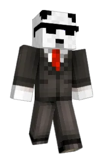 quandinii Minecraft avatar full body