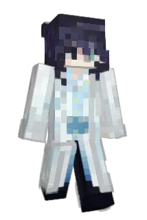quantumbag Minecraft avatar full body