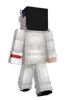 quattro_Wii Minecraft avatar full body