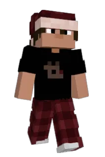 quispp Minecraft avatar full body