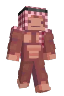 quntm Minecraft avatar full body
