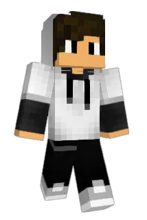 qw_e Minecraft avatar full body