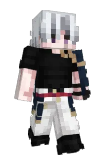 qwerty1778 Minecraft avatar full body