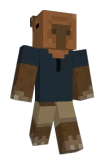 Minecraft-Avatar von r0b1nx_: ganzer Körper