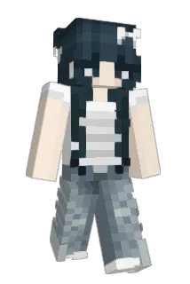 r0n1i Minecraft avatar full body