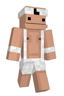 r0psu69 Minecraft avatar full body