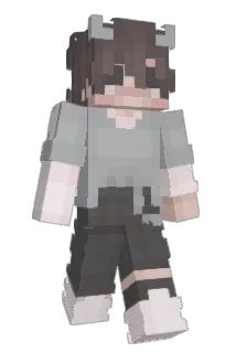 r4yguns Minecraft avatar full body