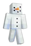 r8c Minecraft avatar full body